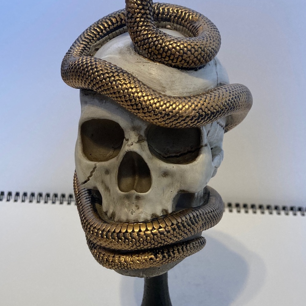 Ashland Skull with Bronze Snake Pedestal Halloween Spooky Decor - Picture 5 of 11